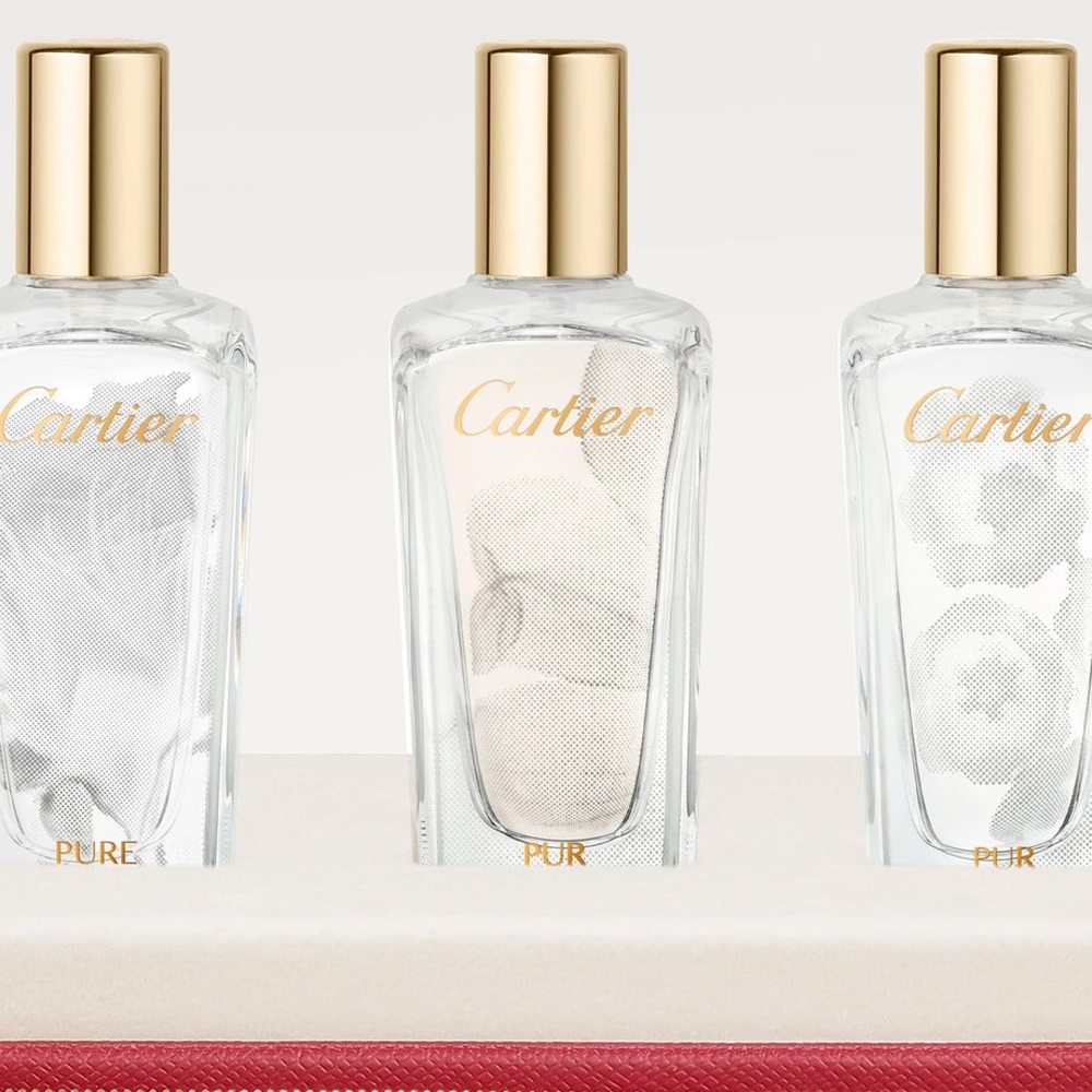 Limited Edition Cartier Trio with Gold Accents - Picture 2 of 7